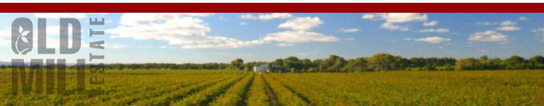 Artisan Wines of Australia